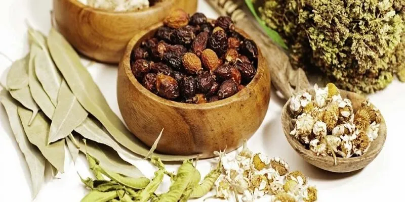 bài thuốc