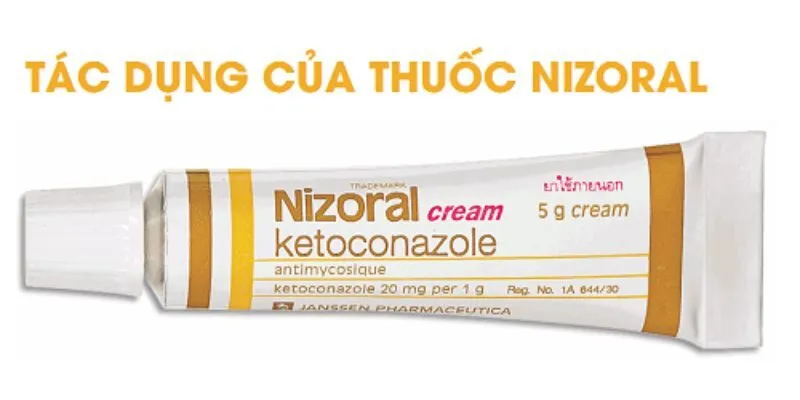 công dụng cách dùng